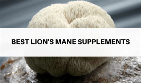 Best Lion S Mane Mushroom Supplements And Brands In 2024