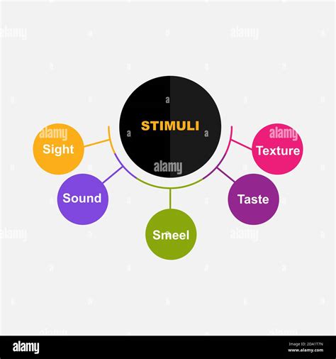 Diagram Of Stimuli With Keywords Eps 10 Isolated On White Background