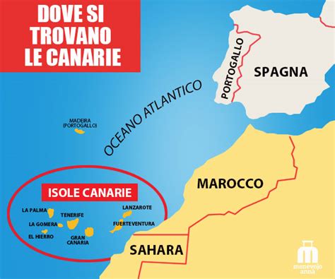 Dove Si Trovano Le Canarie Quando Andare E Consigli Pratici