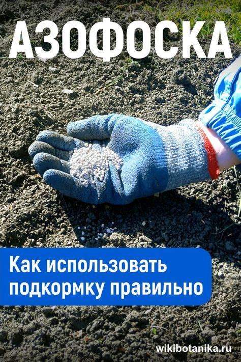 ⚠️ Азофоска — одно из самых популярных удобрений, в применении которого ...