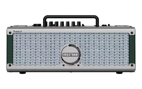 Cubo Caixa Amplificada Guitarra Vosstorm Swamp Wrms