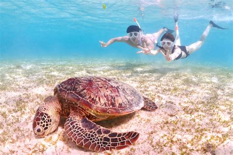 現地観光プラン・レジャーチケット・定期観光バス｜＜地域クーポン対応＞【沖縄・宮古島・シュノーケリング】【観光案内・ドローン撮影付き】 1日で