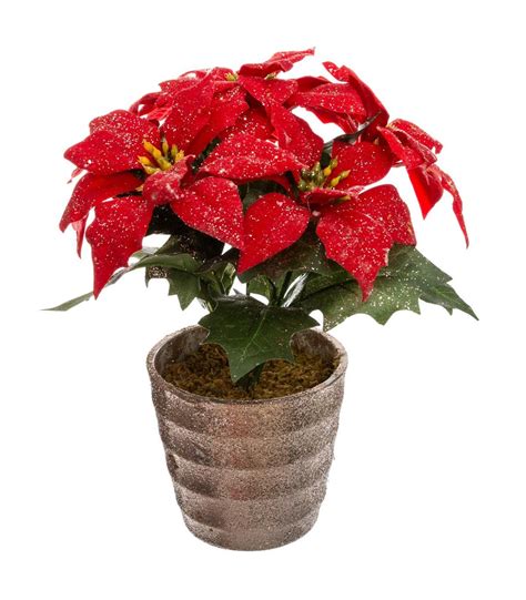 Plante Artificiel Poinsettia Étoile De Noël Rouge Pailleté En Pot H 22