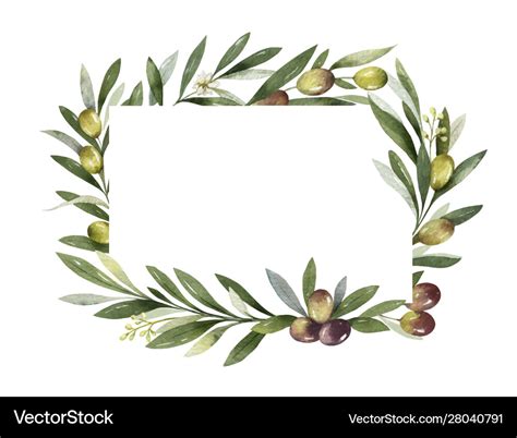 Watercolor Frame Olive Branches And Royalty Free Vector