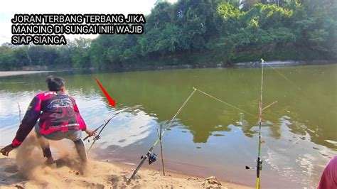 Gacornya Umpan Andalan Joran Sampai Melengkung Di Seret Ikan Babon