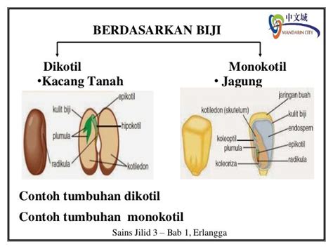 Sains Jilid 3 Bab 1 28 10 14