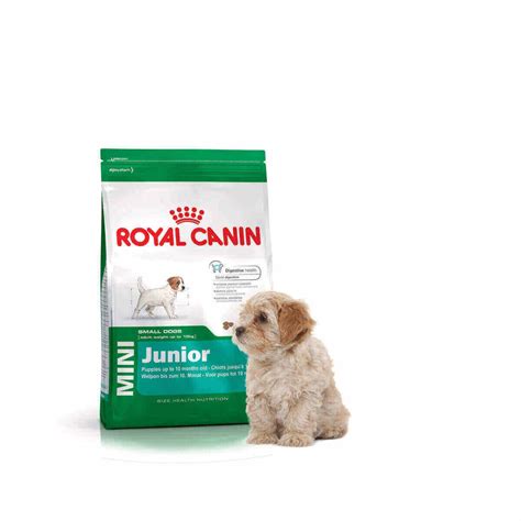 Royal Canin Mini Junior Kg Pets Friend