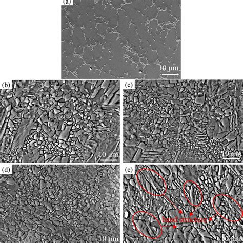 The Potentiodynamic Polarization Curves Of Az31 Magnesium Alloy After