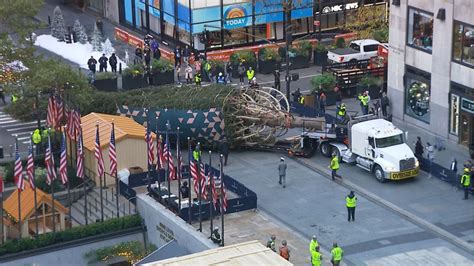 Rockefeller Center Christmas Tree Arrives In New York City Nbc Los