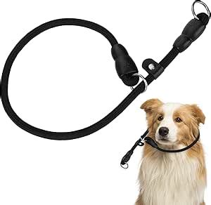 Tiesome Collier De Dressage Pour Chien Collier Rond En Corde En Nylon