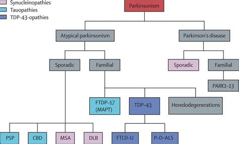 Parkinsons Disease And Movement Disorders Moving Forward The Lancet