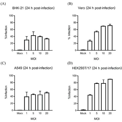 Optimization Of ZIKV And DENV Infection BHK 21 A Vero B And A549