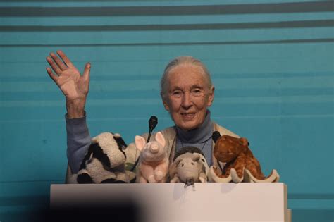 Jane Goodall en Argentina la etóloga relató su historia brindando un