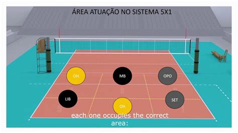 Quais As Posições Do Voleibol ROAREDU