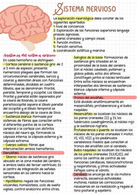 Exploraci N Neurologica Medica En Progreso Udocz