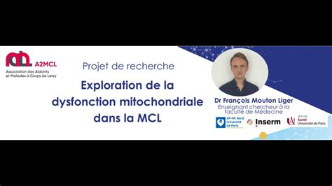 Exploration De La Dysfonction Mitochondriale Dans La Mcl Youtube