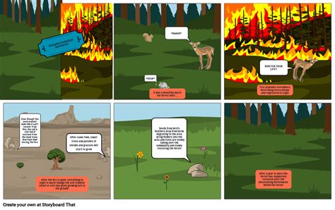 Ecological Succession Comic Storyboard By C16d9b05