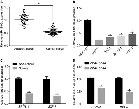 Mir‐128‐3p Is Down‐regulated In Bcscs And Breast Cancer Cells A Download Scientific Diagram