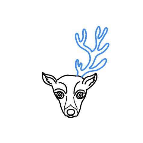 How to Draw a Deer Face - Step by Step Easy Drawing Guides - Drawing Howtos