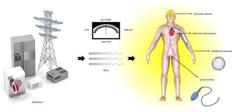 Schematic Illustration Of Elf Emf Effects On Human Health The