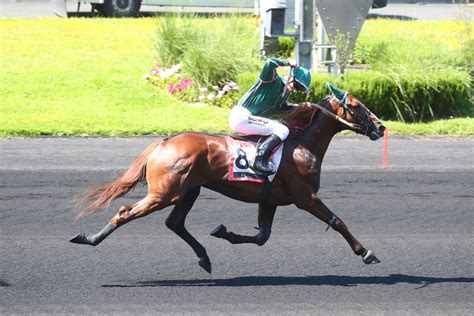 Jéroboam d Erable remporte le Prix de Normandie 2024 à Vincennes