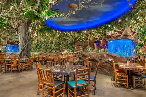 Rainforest Cafe Virtual Restaurant Concierge