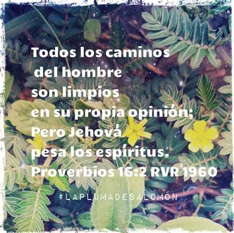 Proverbios