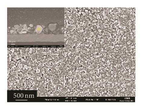 Enlarged Cross Sectional Fe Sem Images Of A C Fresh Electrodes And