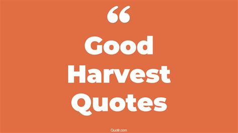 29+ Eye-Opening Good Harvest Quotes That Will Inspire Your Inner Self