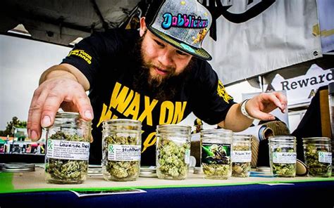 Cannabis Cup Winners 2016 - California Marijuana Market