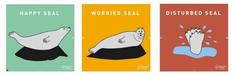 Seal Disturbance Factsheet for Guides, Leaders and Coaches - British ...