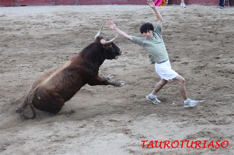 Tauroturiaso Reportaje FotogrÁfico Especial Arguedas Navarra Del