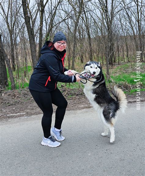 Top 100 Most Popular Siberian Husky Names - Husky Advisor