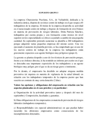 SUPUESTO 3 Pdf