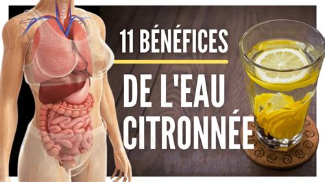 11 Bienfaits de lEau Citronnée que vous ne connaissiez pas Buvez le