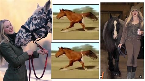 So Cute Horse Riding Video For Horse Lover 70 Horse Ponyhorse Pony