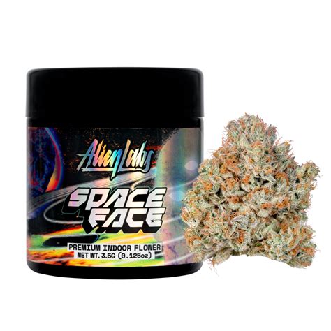 Space Face Alien Labs Indoor Jane