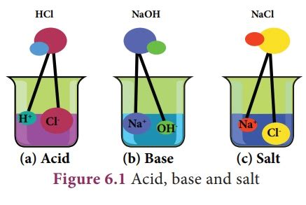 Acids Bases And Salts Introduction