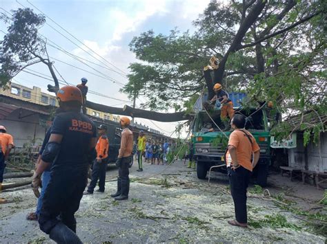 Truk Kontainer Tabrak Pohon Di Jombang Lima Warung Rusak