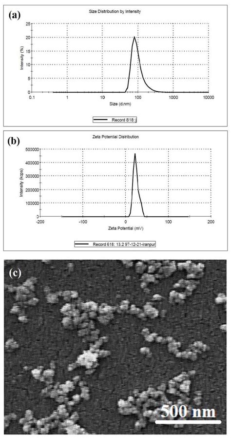 Nanoparticles Size And Zeta Potential A Size Distribution By