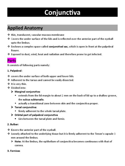 Conjunctiva Pdf