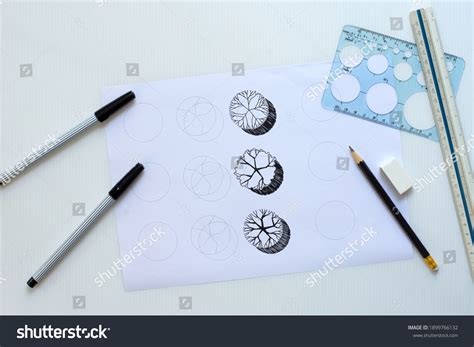 Plan Plant Symbols Landscape Design Garden Stock Photo 1899766132 ...