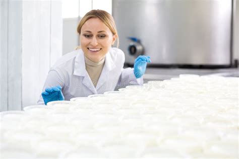 Woman Wearing Uniform Showing Cottage Cheese Production Process Stock