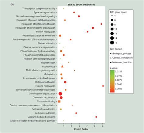 Full Article Integrated Mirna And Mrna Expression Profiling To