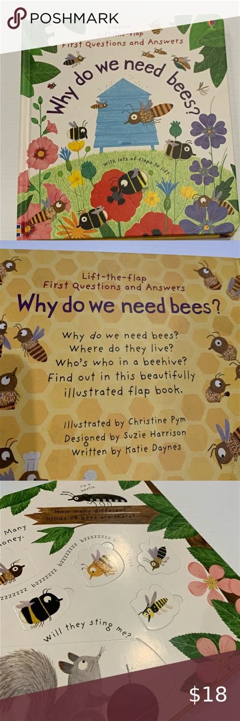 Usborne Why Do We Need Bees Book Bee Book Flap Book Usborne