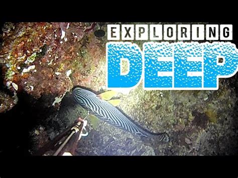 EP 14 NIGHT SPEARFISHING PHILIPPINES ANG DAMING ISDA KAHIT MALIWANAG