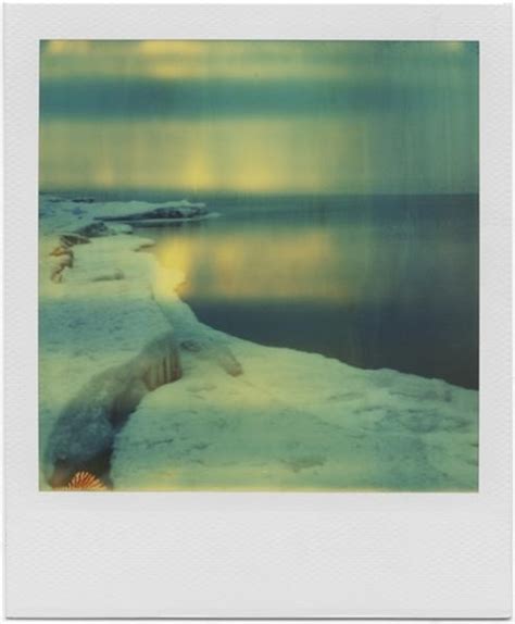 The Mysterious World Of Andrei Tarkovskys Polaroids Archisearch