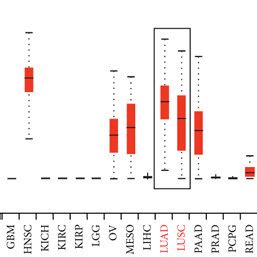 FAM83Apromoted Proliferation Of LUAD Cells A B Western Blotting