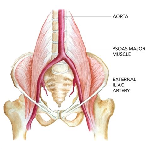 Sports Injury Bulletin - Diagnose & Treat - Uncommon injuries: external ...