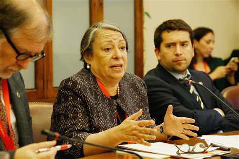 Directora Del Indh Sobre El Estallido Social No Hubo Violaciones